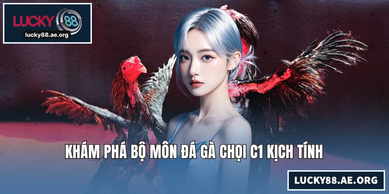 Khám phá bộ môn đá gà chọi C1 kịch tính