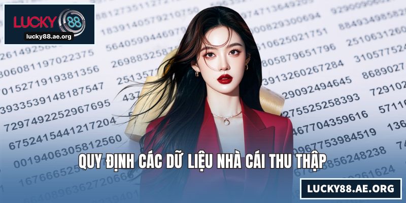 Quy định các dữ liệu nhà cái thu thập