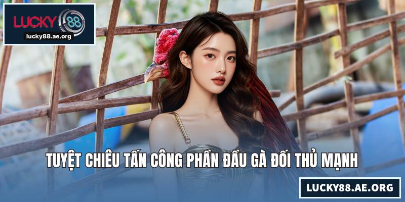 Tuyệt chiêu tấn công phần đầu gà đối thủ mạnh